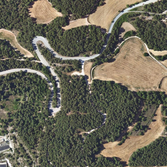 Bosquecillo del entorno de Montserrat Parc