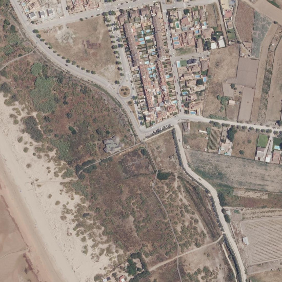 Dunas del entorno de El Camaleón