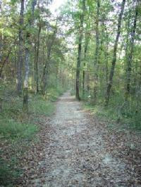 Forêt de Bouconne, accès de la Bordette