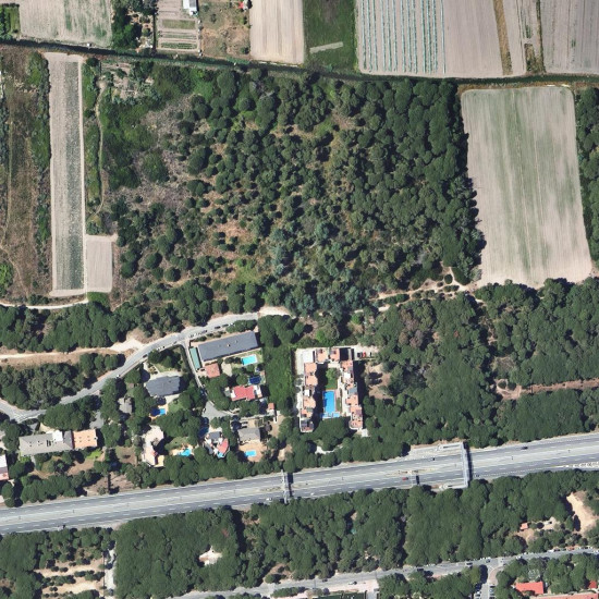 La Pineda