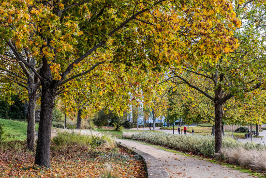 Parc André-Malraux, secteur du mur d’escalade