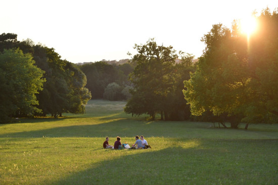 Parc du Château / Séminaire, côté Savigny-sur-Orge