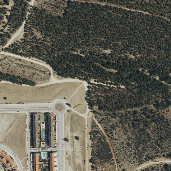 El Pinar