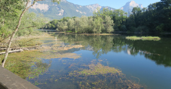 Deuxième parking et bois de la Bâtie