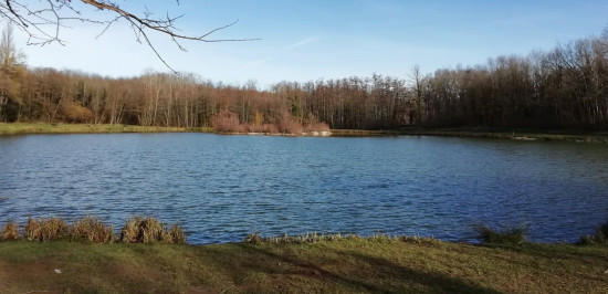 Étang de Césarges